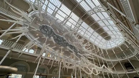 Representative artist / studio image for Luke Jerram