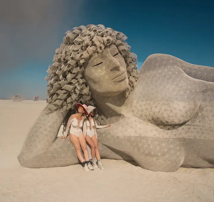 Image from the project source for Gaia