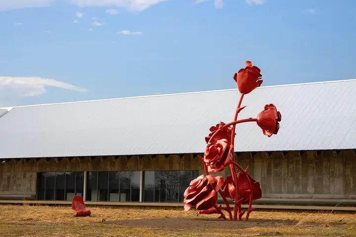 Representative artist / studio image for Will Ryman