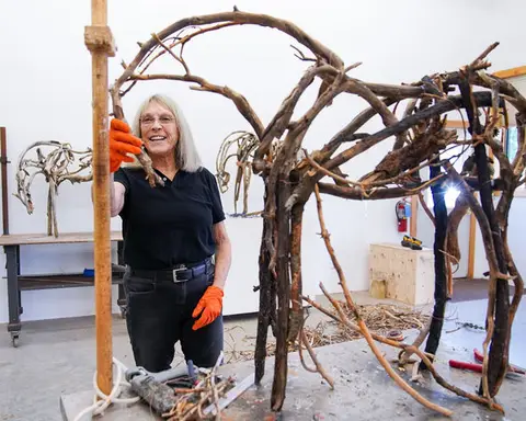 Image from the artist / work source for Deborah Butterfield