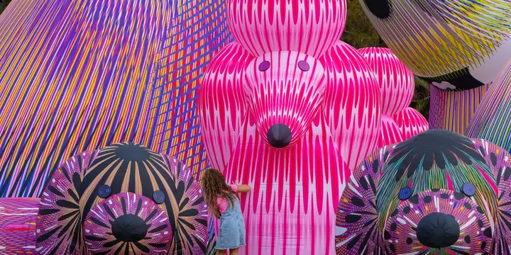 Image from the project source for Lost Dogs’ Disco