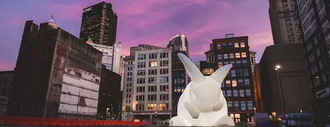 Representative artist / studio image for Amanda Parer