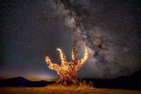 Image from the project source for Methuselah