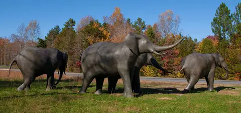 Verified artwork image for The Elephant Group