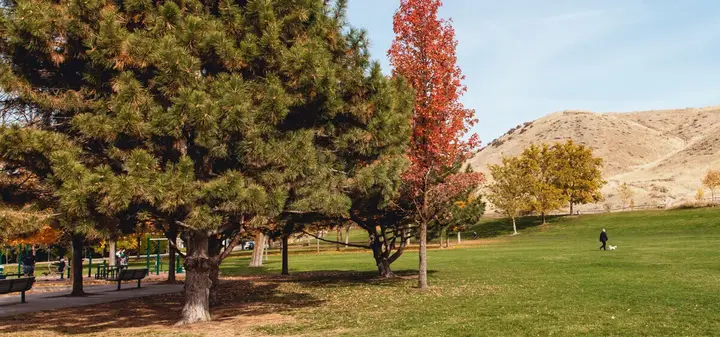 Source-page image · match unverified for Camel’s Back Park water conservation sculpture