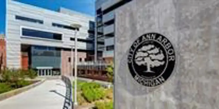 Representative organizer image for City public-art commissions