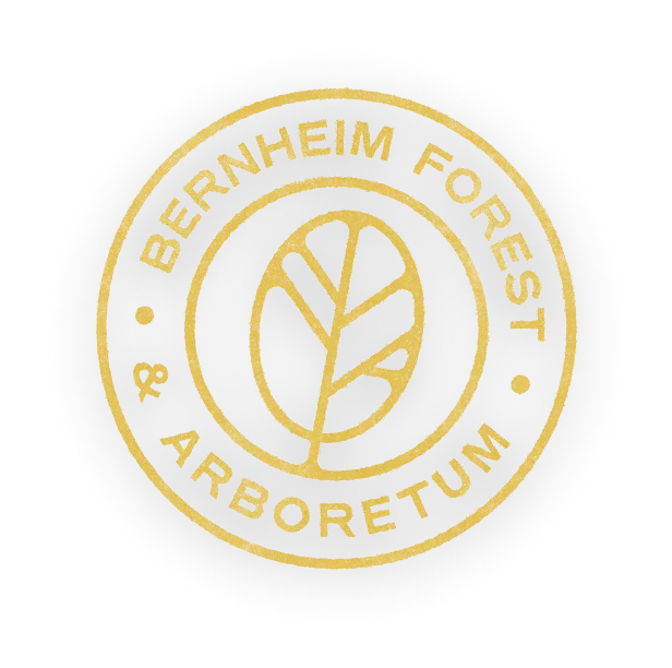 Organizer logo for Bernheim Forest and Arboretum — Arts in Nature