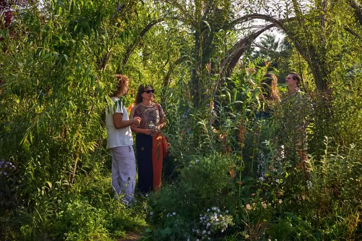 Image from the organizer source for Socrates Fellowship — 2026–2028 nominated cohort