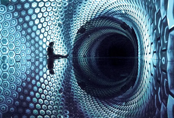 Image from the project source for My Whale