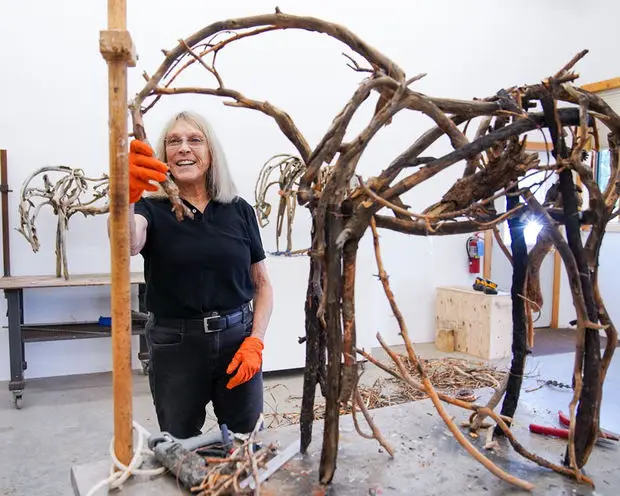 Image from the artist / work source for Deborah Butterfield