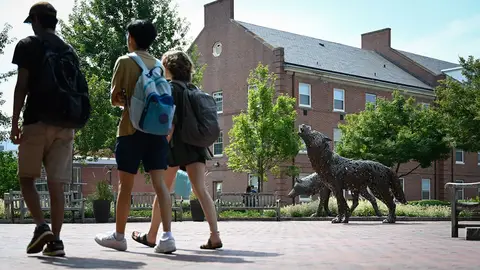 Verified artwork image for NCState Wolf Plaza