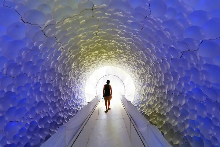 Image from the project source for Cryochrome