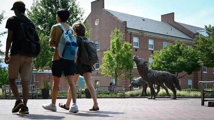 Verified artwork image for NCState Wolf Plaza