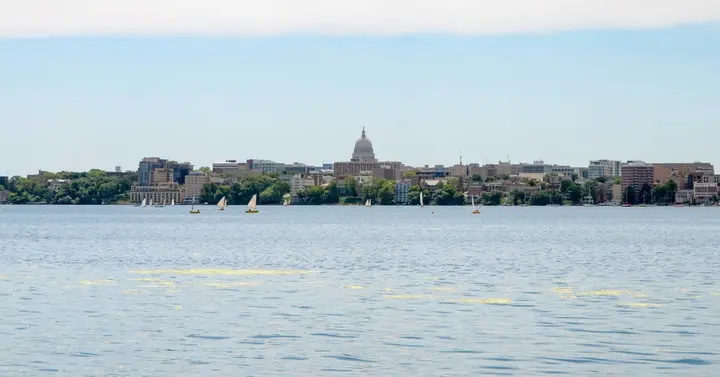 Representative organizer image for City of Madison — Madison Arts