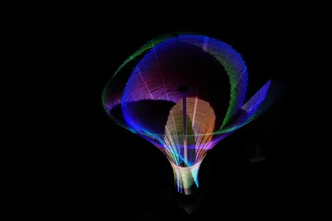 Verified artwork image for Bloom