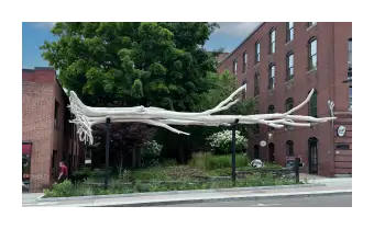 Source-page image · match unverified for Lakebone on Main Street