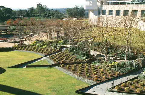Verified artwork image for Central Garden
