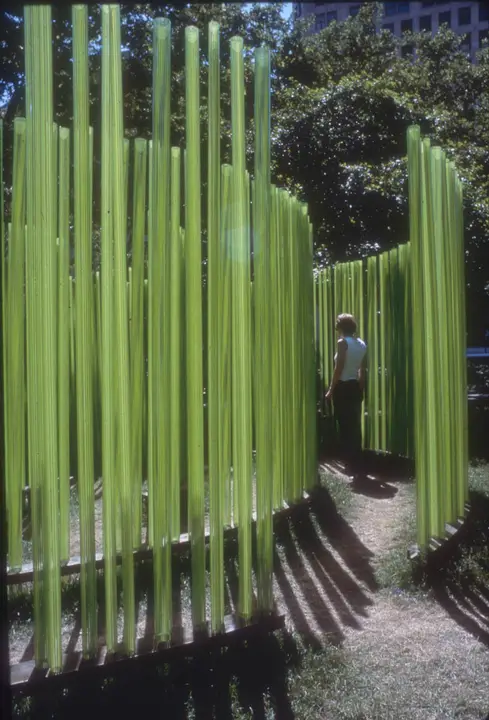 Verified artwork image for Bamboo Cinema