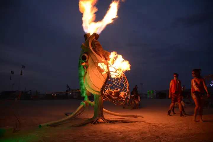 Image from the artist / work source for Flaming Lotus Girls
