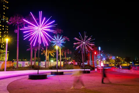 Image from the project source for Electric Dandelions