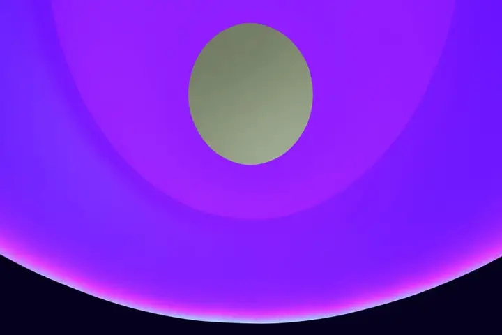 Verified artwork image for The Color Inside