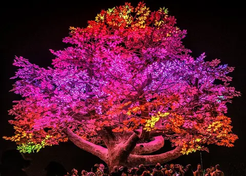 Image from the project source for Tree of Ténéré