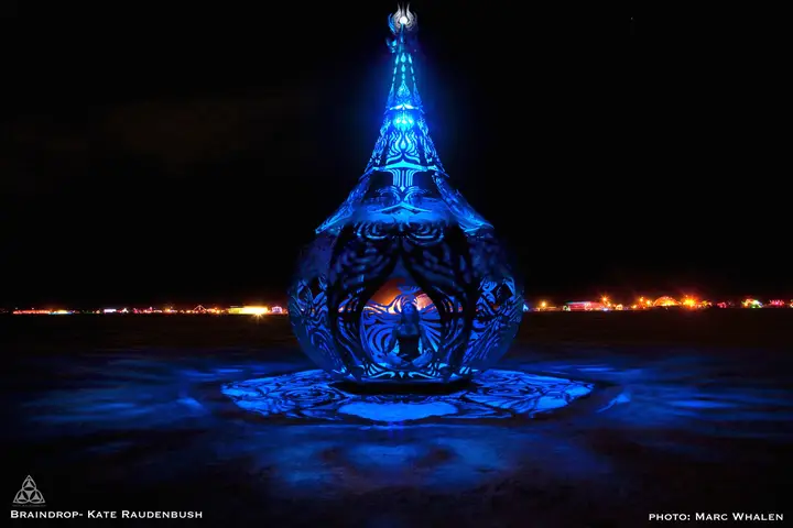 Image from the project source for Braindrop