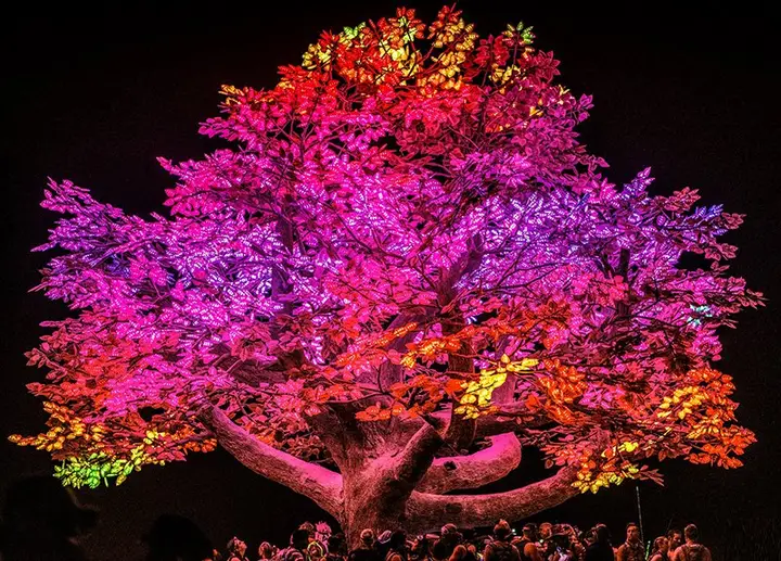 Image from the project source for Tree of Ténéré