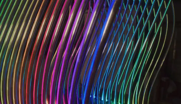 Image from the project source for Evolution Field